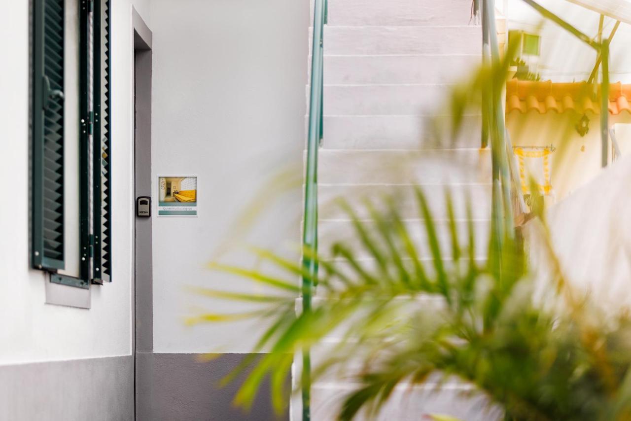 Quintinha Tropical - Panoramic Gateway To Madeira Hotel Funchal  Bagian luar foto